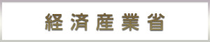 経済産業省のWEBサイト(METI/経済産業省) (METI/経済産業省)